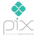 Pix Logo
